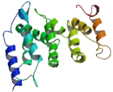 Family With Sequence Similarity 131, Member A (FAM131A)