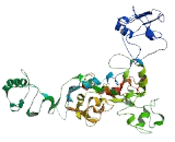 Family With Sequence Similarity 171, Member B (FA<b>M171</b>B)