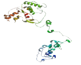 Family With Sequence Similarity 188, Member B (FA<b>M188</b>B)