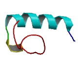 Family With Sequence Similarity 19, Member A5 (FAM19A5)