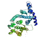 Farnesyl Diphosphate Synthase (FDPS)