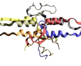 Fibrinogen (FG)