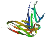 Fibrinogen Alpha Chain (FGA)