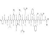 Fibrinopeptide B (FPB)