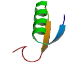 Flavin Containing Monooxygenase 1 (FMO1)