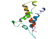 Formyl Peptide Receptor 2 (FPR2)