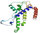 Free Fatty Acid Receptor 2 (FFAR2)