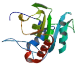 Fucosyltransferase 6 (FUT6)