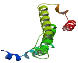 G Protein Coupled Receptor 35 (GPR35)