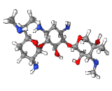 Gentamicin (GTM)