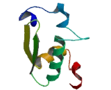 Germ Cell Associated Protein 1 (GSG1)