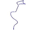 Germ Cell Specific Gene 1 Like Protein (GSG1L)