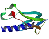 Glucagon Receptor (GCGR)