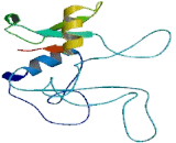 Glucose Transporter 4 (GLUT4)