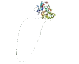 Glutamate Receptor, Ionotropic, N-Methyl-D-Aspartate 1 (GRIN1)