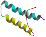 Glutamyl Prolyl tRNA Synthetase (EPRS)