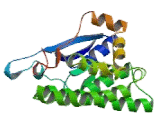 Glutathione S Transferase Mu 4 (GSTm4)