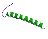 Glycophorin B (GYPB)