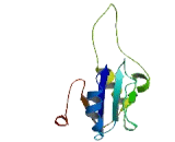 Glycosyltransferase 25 Domain Containing Protein 2 (GLT25D2)