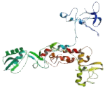 Glypican 1 (GPC1)