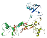 Glypican 4 (GPC4)