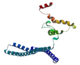 Golgi Phosphoprotein 2 (GOLPH2)