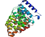 Heat Shock 70kDa Binding Protein 1 (HSPBP1)