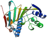 Heat Shock Protein 90kDa Alpha B1 (HSP90aB1)