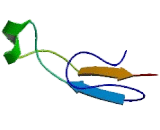 Heparan Sulfate Proteoglycan (HSPG)