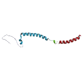 Hexamethylene Bis Acetamide Inducible Protein 2 (HEXIM2)