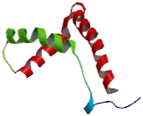 High Mobility Group Box Protein 4 (HMGB4)