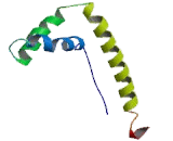 High Mobility Group Protein 1 (HMGB1)