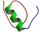 Histatin 3 (HTN3)