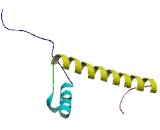 Histone Cluster 2, H2be (HIST2H2BE)