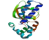 Hyperpolarization Activated Cyclic Nucleotide Gated Potassium Channel 4 (HCN4)