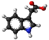 Indole 3 Acetic Acid (IAA)