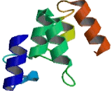 Inhibitory Subunit Of NF Kappa B Zeta (IkBz)