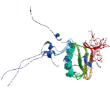 Insulin Like Growth Factor Binding Protein 6 (IGFBP6)