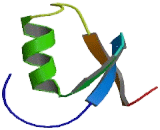 Insulin Like Growth Factor Binding Protein 7 (IGFBP7)