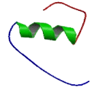 Insulin Like Protein 3 (INSL3)