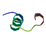 Insulin Like Protein 5 (INSL5)