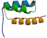 Insulin Promoter Factor 1 (IPF)