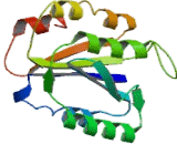 Inter Alpha-Globulin Inhibitor H5 (ITIH5)