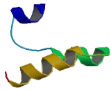 Interferon Induced Protein With Tetratricopeptide Repeats 1 (IFIT1)