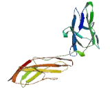 Interleukin 23 Receptor (IL23R)