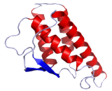 Interleukin 4 (IL4)