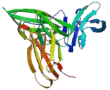 Interleukin 6 Receptor (IL6R)