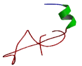 Junction Mediating And Regulatory Protein p53 Cofactor (JMY)