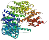 Karyopherin Beta (KPNb1)