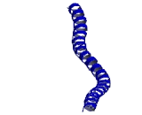 Cytokeratin 10 (CK10)